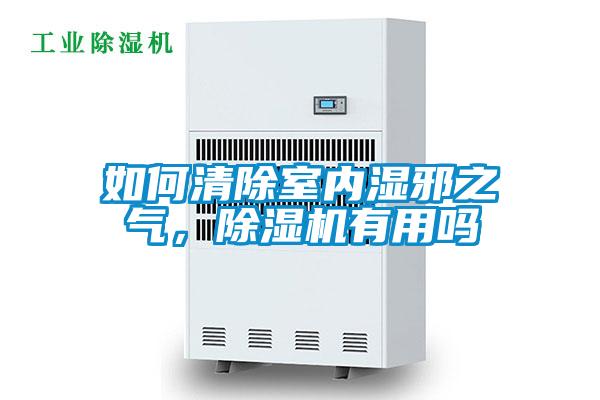 如何清除室内湿邪之气，精品一区二区三区水蜜桃有用吗