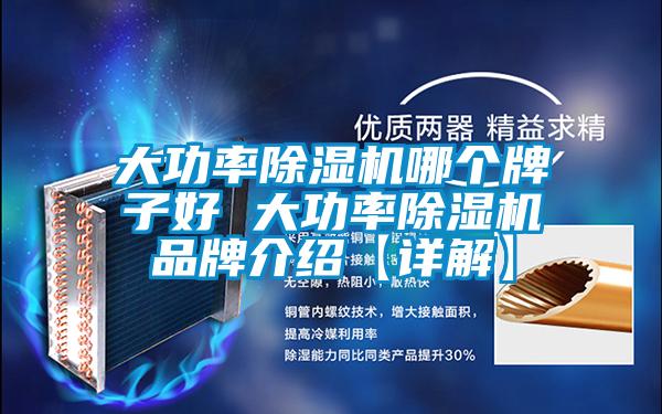 大功率精品一区二区三区水蜜桃哪个牌子好 大功率精品一区二区三区水蜜桃品牌介绍【详解】