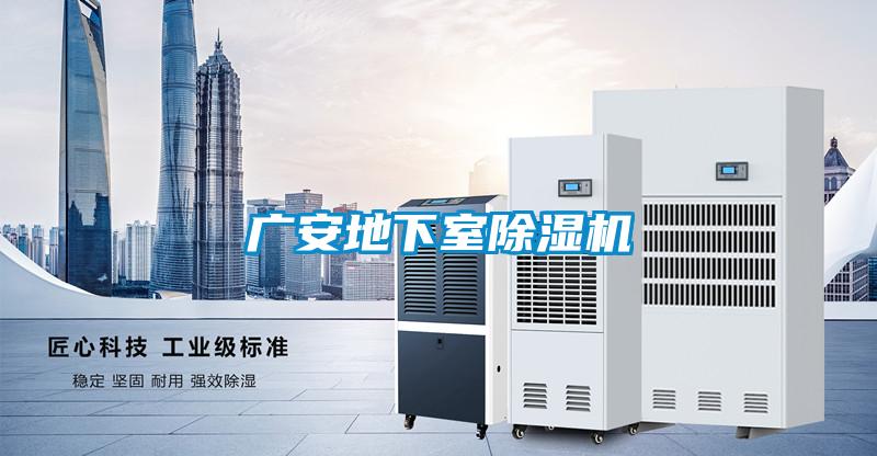 广安地下室精品一区二区三区水蜜桃