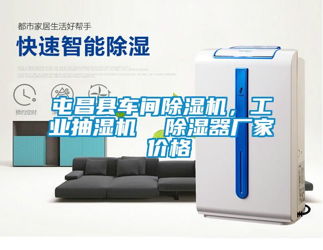 屯昌县车间精品一区二区三区水蜜桃，工业抽湿机  除湿器厂家 价格