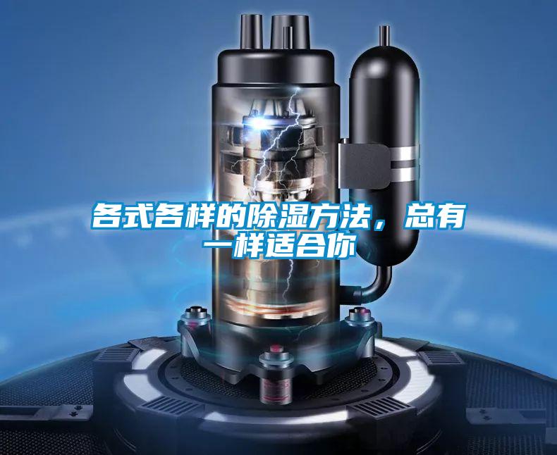 各式各样的除湿方法，总有一样适合你