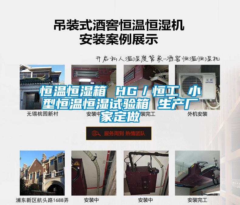 恒温恒湿箱 HG/恒工 小型恒温恒湿试验箱 生产厂家定做