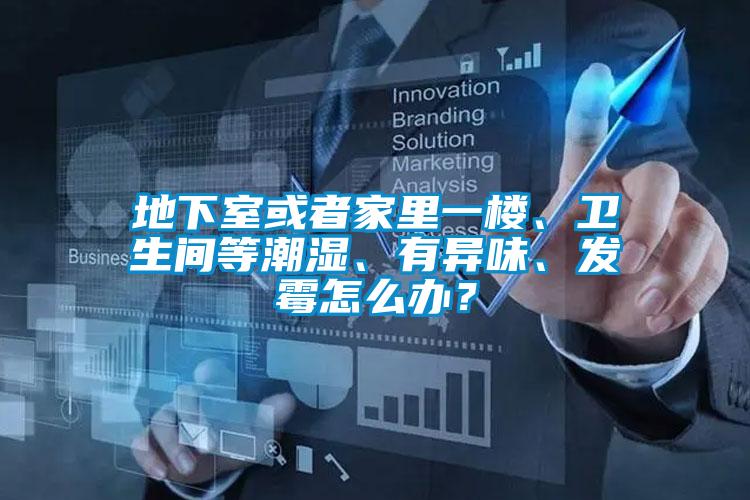 地下室或者家里一楼、卫生间等潮湿、有异味、发霉怎么办？