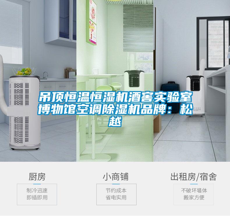 吊顶恒温恒湿机酒窖实验室博物馆空调精品一区二区三区水蜜桃品牌：松越