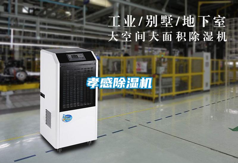 孝感精品一区二区三区水蜜桃