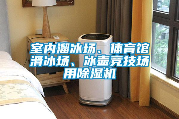 室内溜冰场、体育馆滑冰场、冰壶竞技场用精品一区二区三区水蜜桃