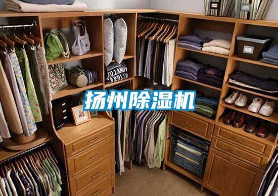 扬州精品一区二区三区水蜜桃