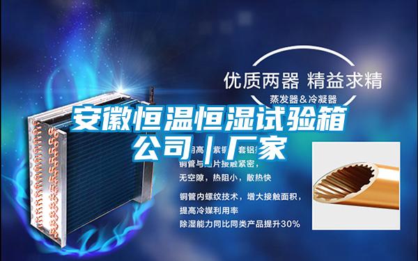 安徽恒温恒湿试验箱公司|厂家