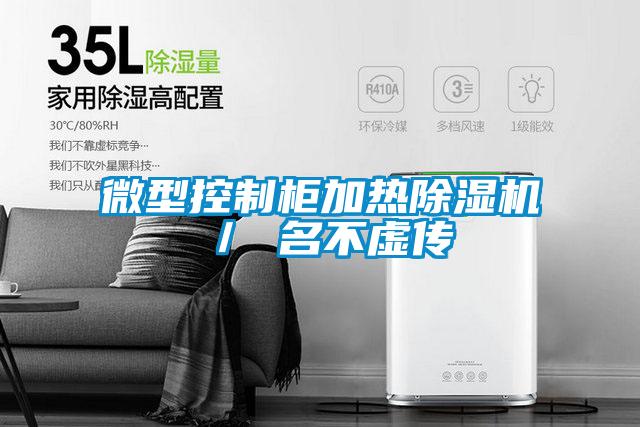 微型控制柜加热精品一区二区三区水蜜桃/ 名不虚传