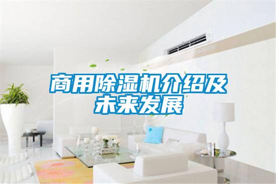 商用精品一区二区三区水蜜桃介绍及未来发展