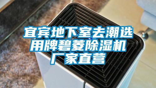 宜宾地下室去潮选用牌碧菱精品一区二区三区水蜜桃厂家直营