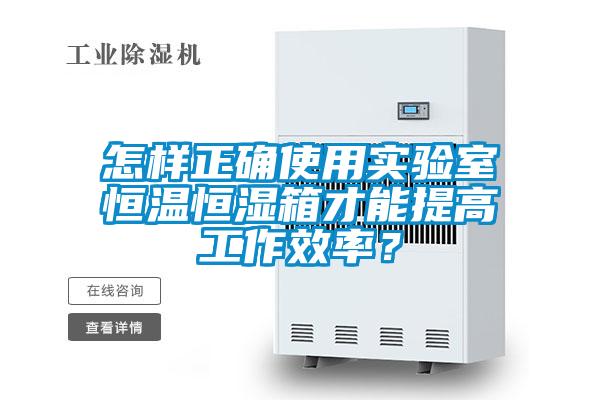 怎样正确使用实验室恒温恒湿箱才能提高工作效率？
