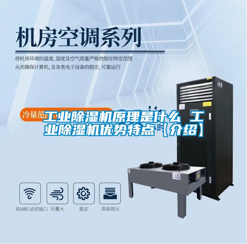 工业精品一区二区三区水蜜桃原理是什么 工业精品一区二区三区水蜜桃优势特点【介绍】