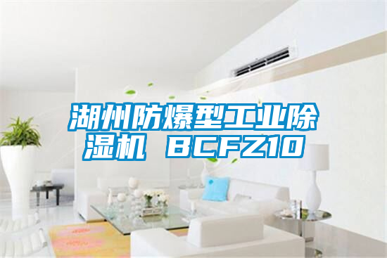 湖州防爆型工业精品一区二区三区水蜜桃 BCFZ10