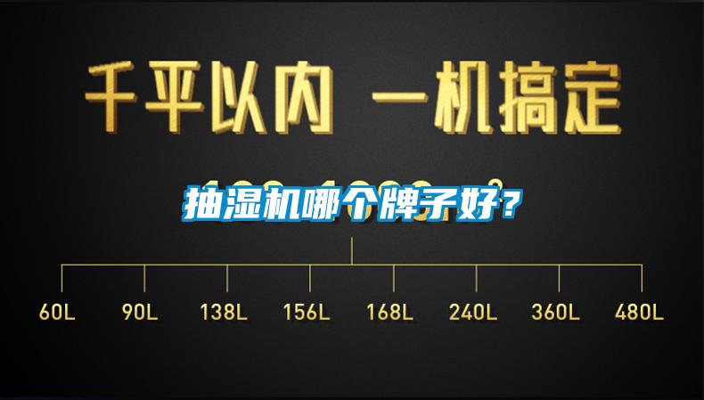 抽湿机哪个牌子好？