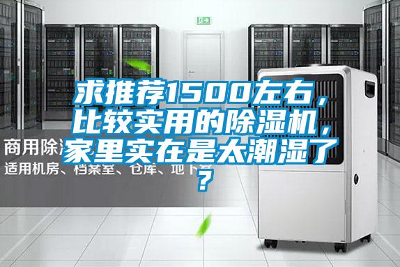 求推荐1500左右，比较实用的精品一区二区三区水蜜桃，家里实在是太潮湿了？