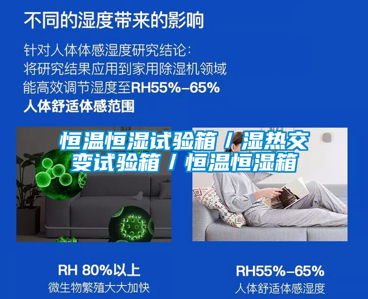恒温恒湿试验箱/湿热交变试验箱/恒温恒湿箱