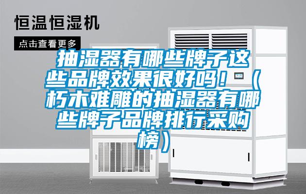 抽湿器有哪些牌子这些品牌效果很好吗！（朽木难雕的抽湿器有哪些牌子品牌排行采购榜）