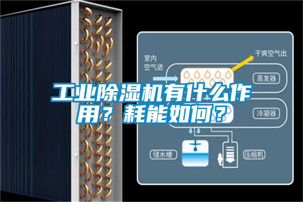 工业精品一区二区三区水蜜桃有什么作用？耗能如何？