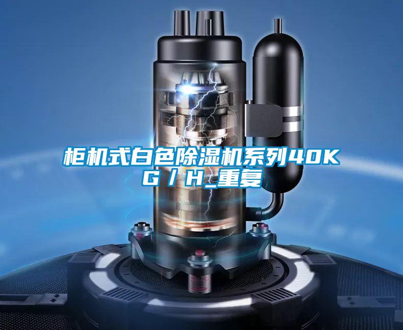 柜机式白色精品一区二区三区水蜜桃系列40KG/H_重复