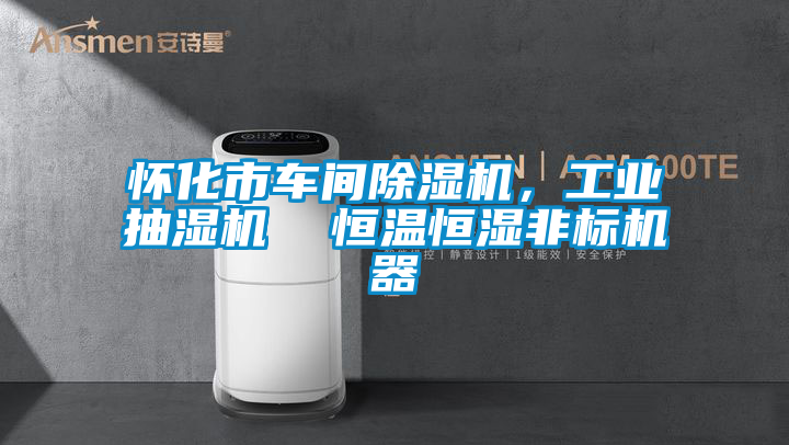 怀化市车间精品一区二区三区水蜜桃，工业抽湿机  恒温恒湿非标机器