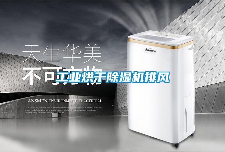 工业烘干精品一区二区三区水蜜桃排风