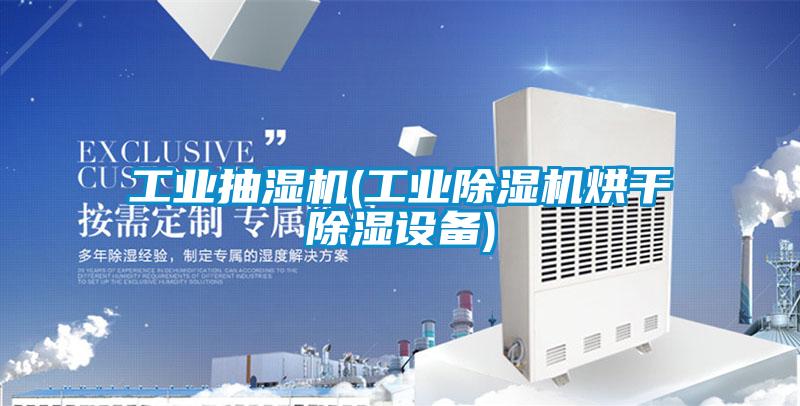 工业抽湿机(工业精品一区二区三区水蜜桃烘干除湿设备)