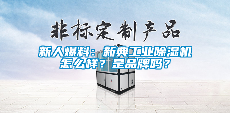 新人爆料：新典工业精品一区二区三区水蜜桃怎么样？是品牌吗？