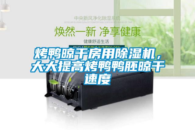 烤鸭晾干房用精品一区二区三区水蜜桃，大大提高烤鸭鸭胚晾干速度