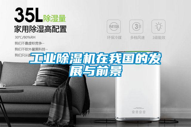 工业精品一区二区三区水蜜桃在我国的发展与前景