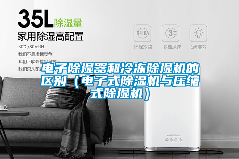 电子除湿器和冷冻精品一区二区三区水蜜桃的区别(电子式精品一区二区三区水蜜桃与压缩式精品一区二区三区水蜜桃)