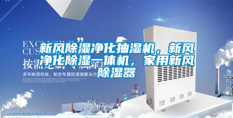 新风除湿净化抽湿机，新风净化除湿一体机，家用新风除湿器
