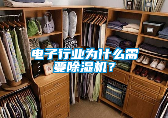 电子行业为什么需要精品一区二区三区水蜜桃？