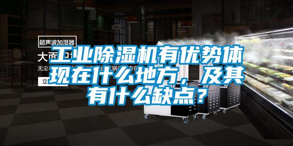 工业精品一区二区三区水蜜桃有优势体现在什么地方，及其有什么缺点？