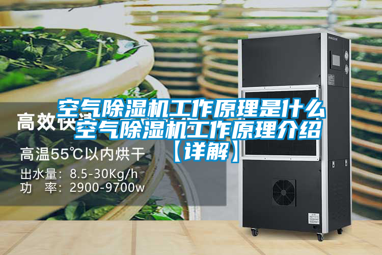 空气精品一区二区三区水蜜桃工作原理是什么 空气精品一区二区三区水蜜桃工作原理介绍【详解】