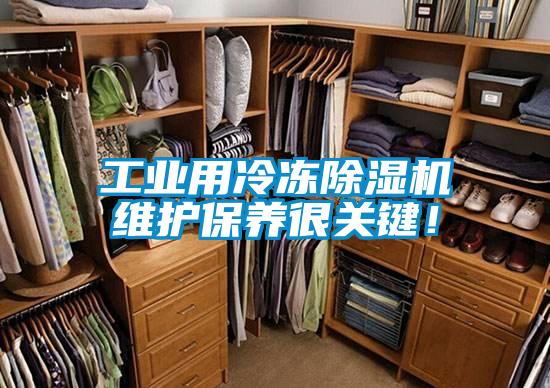 工业用冷冻精品一区二区三区水蜜桃维护保养很关键！