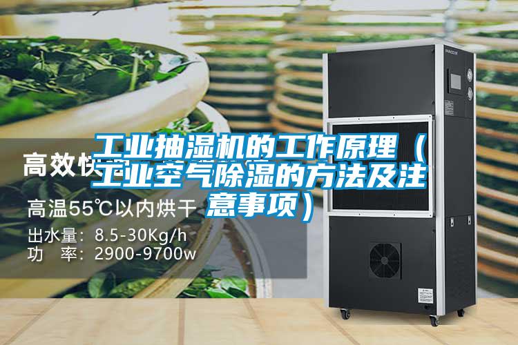 工业抽湿机的工作原理(工业空气除湿的方法及注意事项)