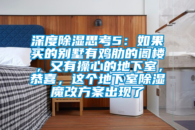 深度除湿思考5：如果买的别墅有鸡肋的阁楼，又有操心的地下室，恭喜，这个地下室除湿魔改方案出现了