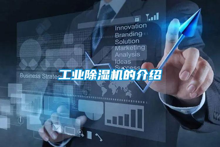 工业精品一区二区三区水蜜桃的介绍