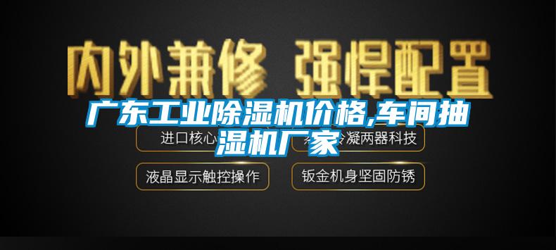 广东工业精品一区二区三区水蜜桃价格,车间抽湿机厂家