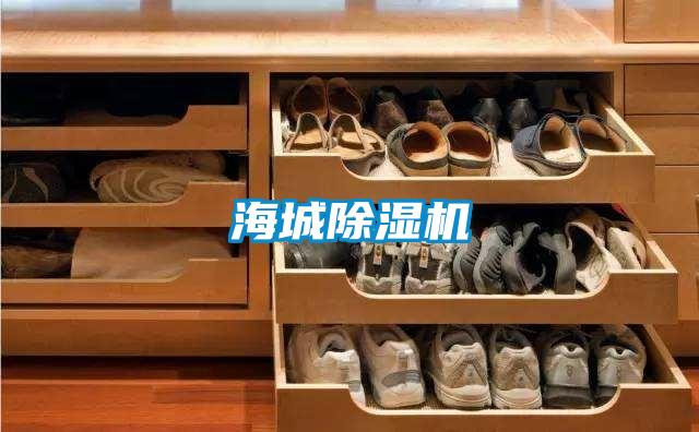 海城精品一区二区三区水蜜桃