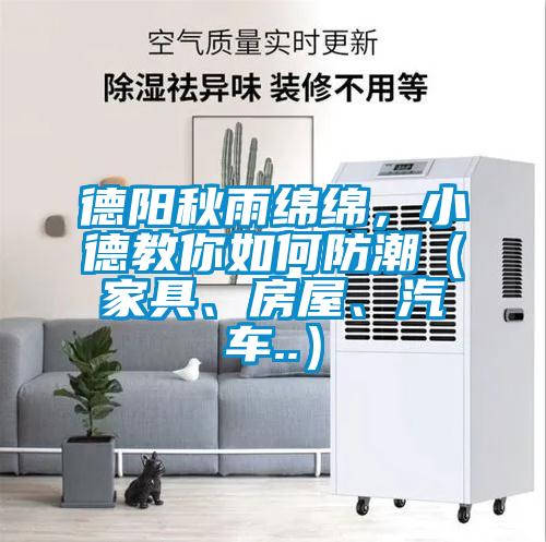 德阳秋雨绵绵，小德教你如何防潮（家具、房屋、汽车..）