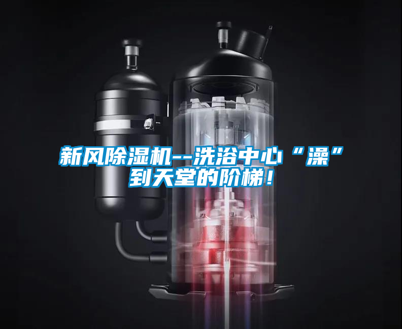 新风精品一区二区三区水蜜桃--洗浴中心“澡”到天堂的阶梯！