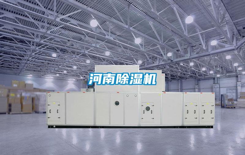 河南精品一区二区三区水蜜桃