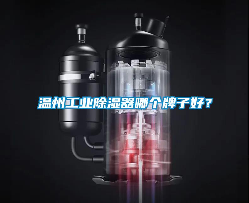 温州工业除湿器哪个牌子好？