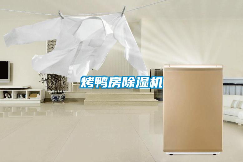 烤鸭房精品一区二区三区水蜜桃