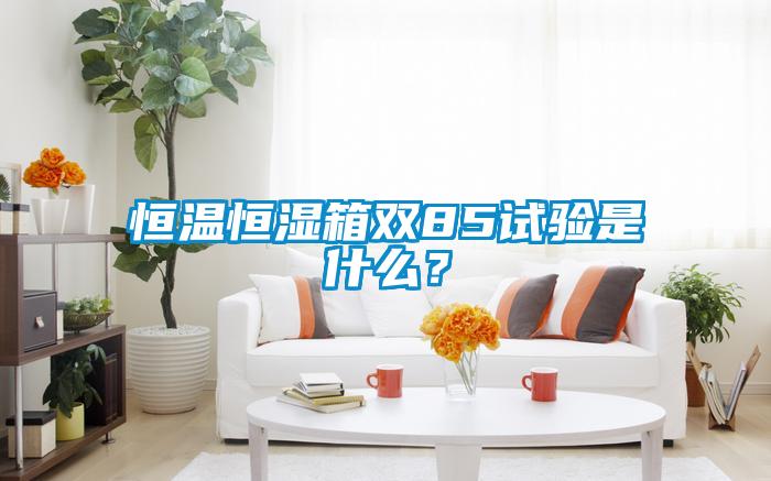 恒温恒湿箱双85试验是什么？