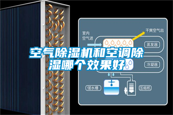 空气精品一区二区三区水蜜桃和空调除湿哪个效果好