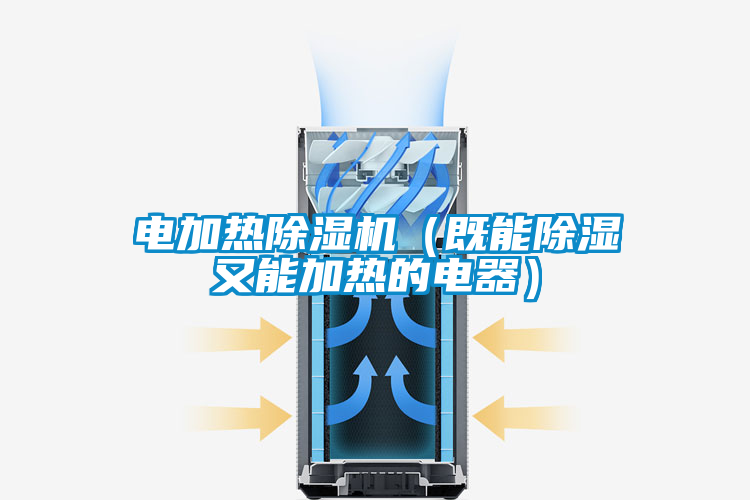 电加热精品一区二区三区水蜜桃(既能除湿又能加热的电器)