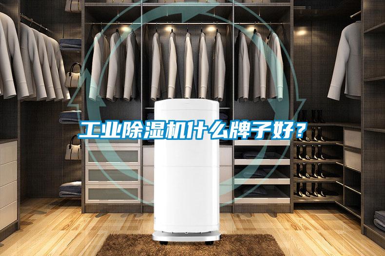 工业精品一区二区三区水蜜桃什么牌子好？